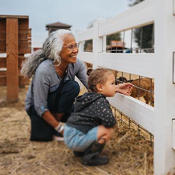 A young child and a grandparent enjoy looking through a fence at farm animals.