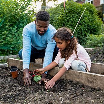 A father and daughter plant a sapling in a garden together.