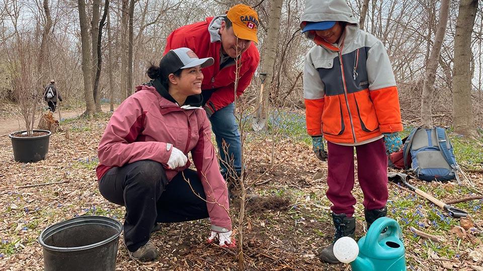 Deux bénévoles d’âge adulte accroupis à côté d’un arbre fraîchement planté lors d’une journée d’automne, pendant qu’un enfant les regarde, un arrosoir à ses pieds.