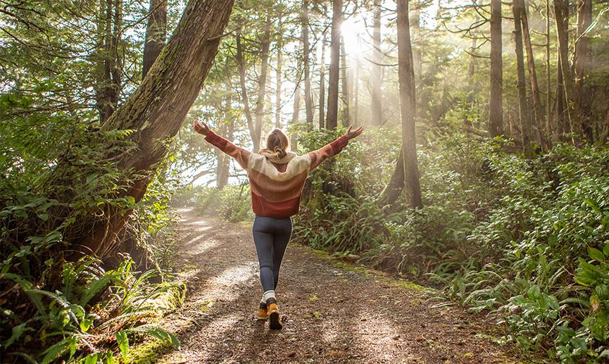 Une personne marche en forêt et apprécie le soleil qui filtre au travers des arbres.